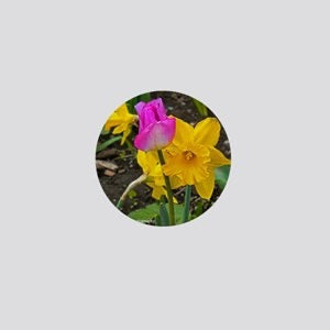 Daffodil 03