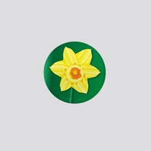 Load image into Gallery viewer, Daffodil 01