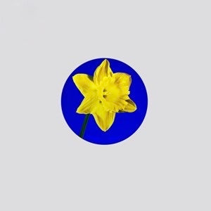 Daffodil 02