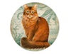 Cat 2