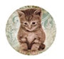 Cat 3