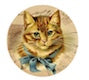 Cat 4
