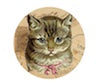 Cat 5