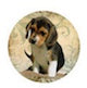Dog 1