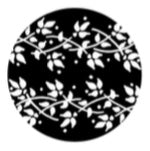 BW06