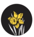 Daffodil Vintage