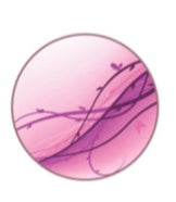 PP07