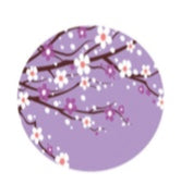 PP09