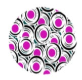 PP06